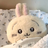 撒娇小狗最好命