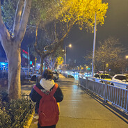 亚妮·雷恩哈特