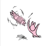 Tan.梨梨梨梨子.Li