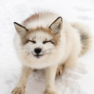 GirlBossPussyQueen⚢