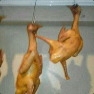 难道你们不觉得香菜跟臭大姐一个味道吗