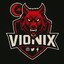 Vionix (ÇAKIRR)