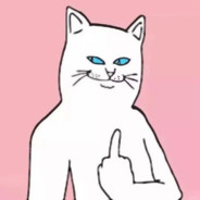 人称Black、Jack情人