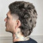 Mullet