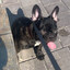 Miteik