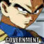 Not a big fan of the government