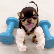 Flaiz - steam id 76561199475454661