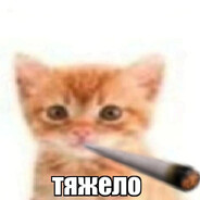 Майор Писькин