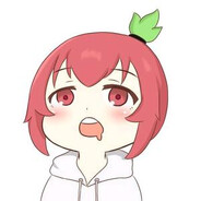 四汤一菜-会飞的草莓