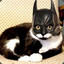 I am Catman