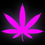 ToglyatticitylChamp