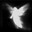 a avatar