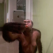 apinqy - steam id 76561199417070206