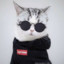 КоТе_ПоД_НарКотЕ
