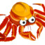 Avatar of SafetyCrab