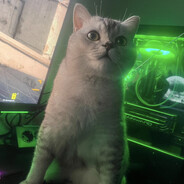 Juju Steam avatar