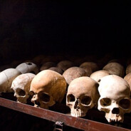 Rwandan Genocide