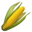 Maize