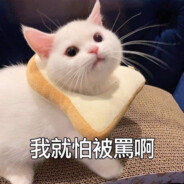 我就怕被罵阿