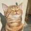 Mr. Faustin