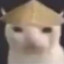 xynukax