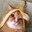 aniki