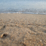 过来给你糖吃丶