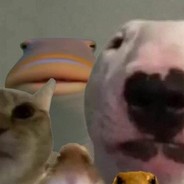 CheesyFeet