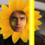 Anakin Sunflower