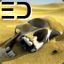 EDcase