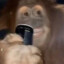 hehe..monkey...