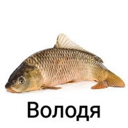 Ceshik