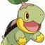 hi im turtwig