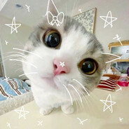 babybooey avatar