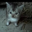 {name}'s avatar