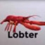 lobter