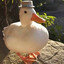 NiceDuck
