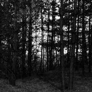 Kr1am - steam id 76561199124283500