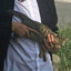 Soi