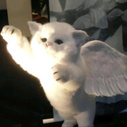 大电进去的再快一点啦