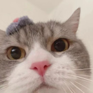 铁血硬汉马加棋