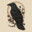 AvesCorvus