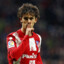 joao felix mi papucho