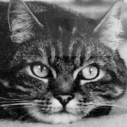 Tschicky avatar