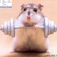 brolic hamster