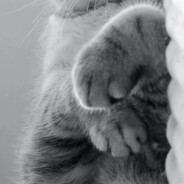 被偏爱的都有恃无恐