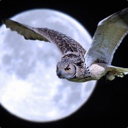 СвЯтОй ПтЕнЕц avatar