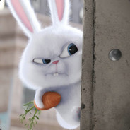 Mr.Bunny