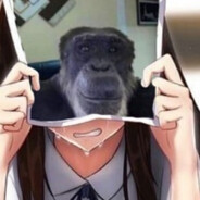 продаю макак