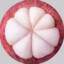 Camellia0927